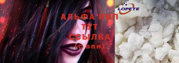 спайс Богданович