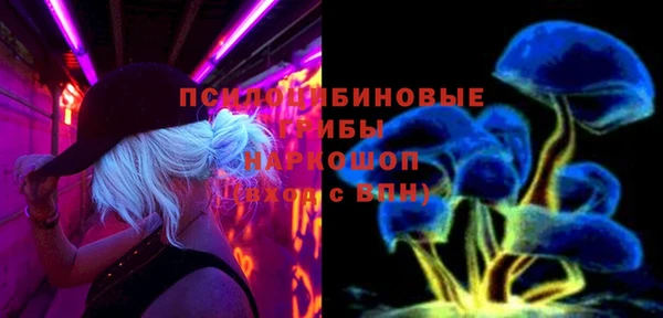 стафф Богородицк