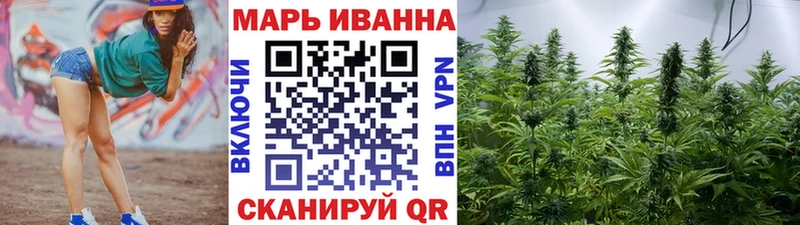 Бошки Шишки планчик Орлов